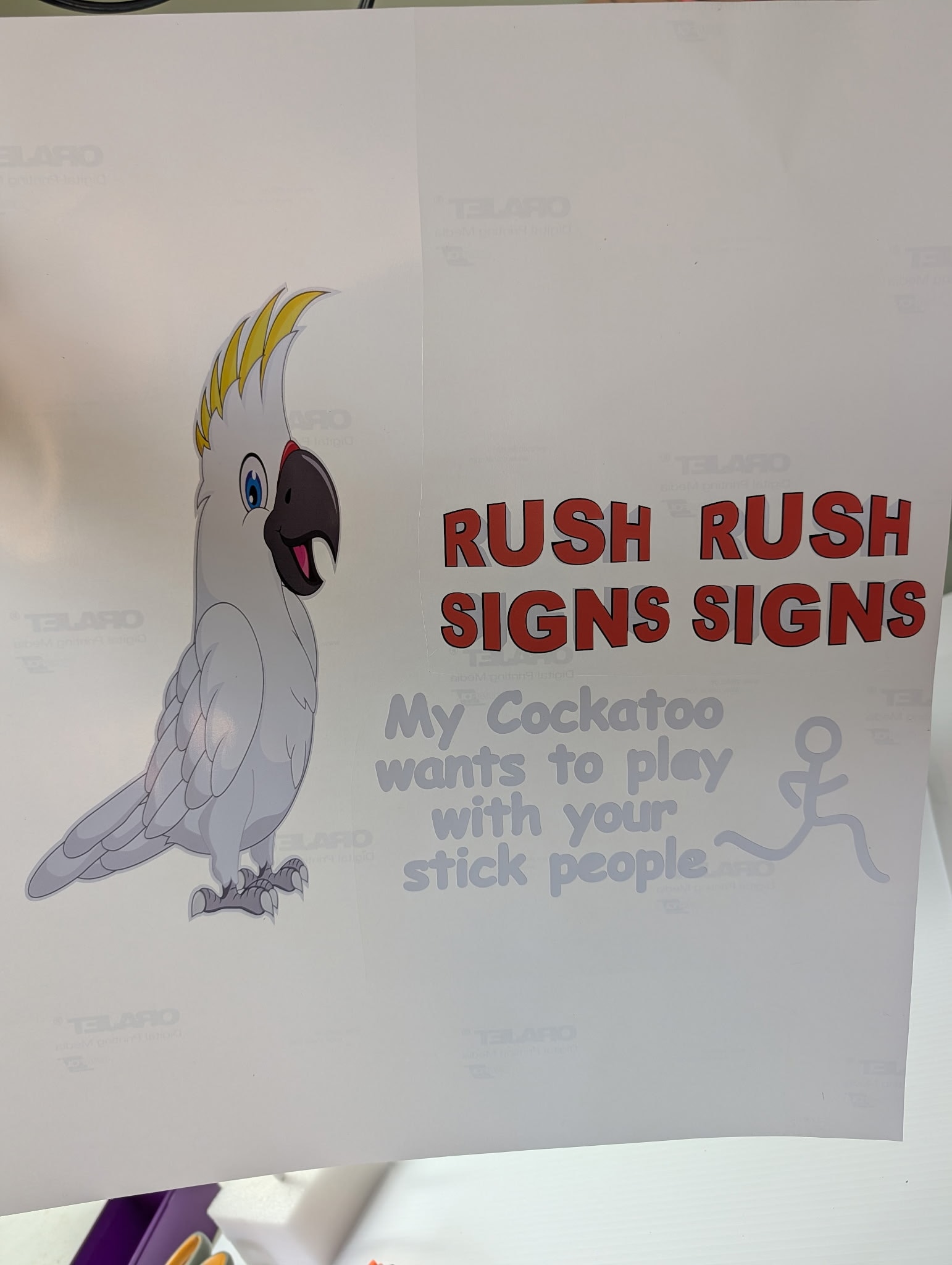 Rush Rush Signs Signs — Cockatoo Print